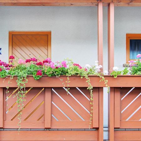 Apartment Landhotel Zum Storchennest Bann Екстериор снимка